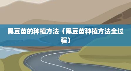 黑豆苗的种植方法（黑豆苗种植方法全过程）
