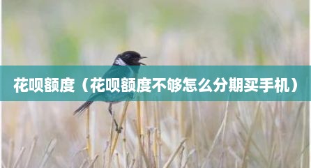花呗额度（花呗额度不够怎么分期买手机）