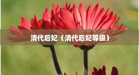 清代后妃（清代后妃寺级）