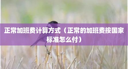 正常加班费计算方式（正常的加班费按国家标准怎么付）