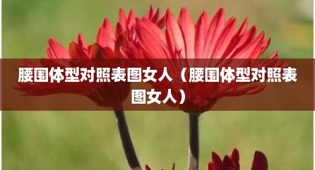 腰围体型对照表图女人（腰围体型对照表图女人）
