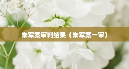 朱军案审判结果（朱军案一审）