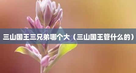 三山国王三兄弟哪个大（三山国王管什么的）