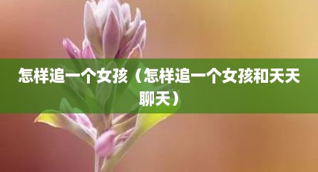 怎样追一个女孩（怎样追一个女孩和天天聊天）