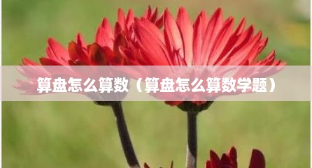 算盘怎么算数（算盘怎么算数学题）