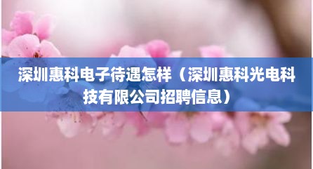深圳惠科电子待遇怎样（深圳惠科光电科技有限公司招聘信息）