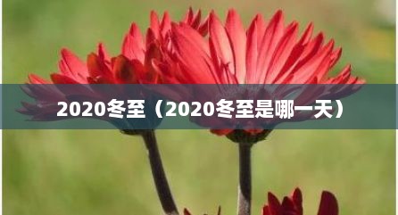 2020冬至（2020冬至是哪一天）
