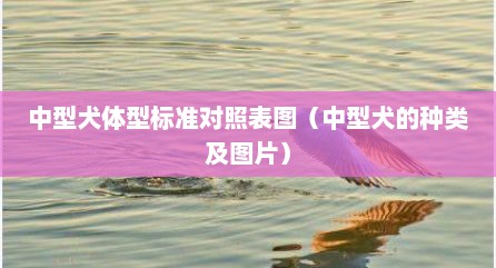 中型犬体型标准对照表图（中型犬的种类及图片）
