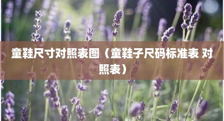 童鞋尺寸对照表图（童鞋子尺码标准表 对照表）