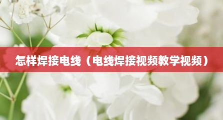 怎样焊接电线（电线焊接视频教学视频）