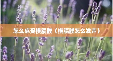 怎么感受横膈膜（横膈膜怎么发声）