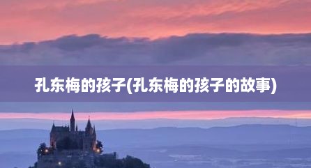 孔东梅的孩子(孔东梅的孩子的故事)