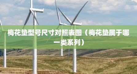 梅花垫型号尺寸对照表图（梅花垫属于哪一类系列）