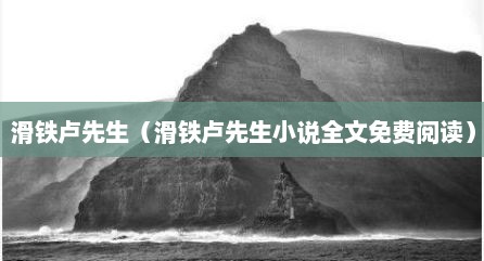 滑铁卢先生（滑铁卢先生小说全文免费阅读）