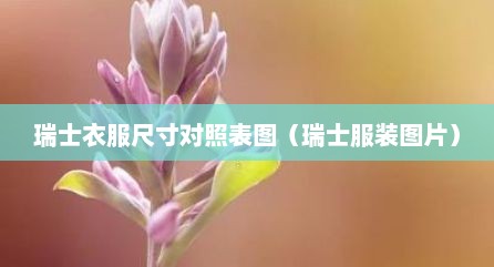 瑞士衣服尺寸对照表图（瑞士服装图片）