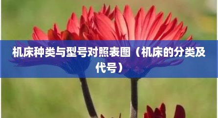机床种类与型号对照表图（机床的分类及代号）