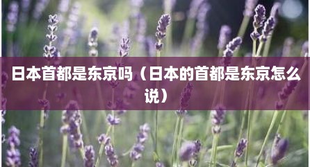 日本首都是东京吗（日本的首都是东京怎么说）
