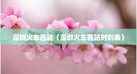 深圳火车西站（深圳火车西站时刻表）