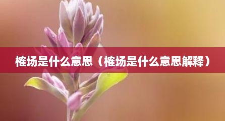 榷场是什么意思（榷场是什么意思解释）