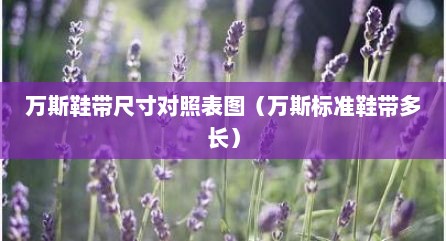 万斯鞋带尺寸对照表图（万斯标准鞋带多长）