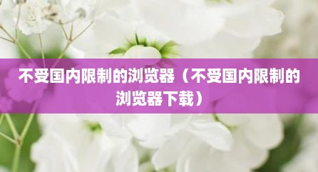 不受国内限制的浏览器（不受国内限制的浏览器下载）
