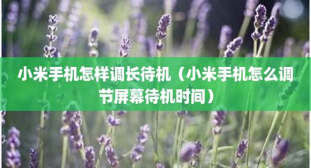 小米手机怎样调长待机（小米手机怎么调节屏幕待机时间）