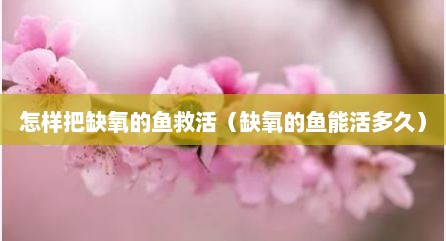 怎样把缺氧的鱼救活（缺氧的鱼能活多久）