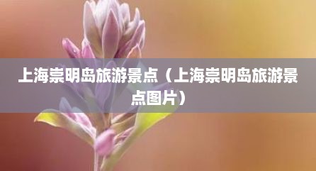 上海崇明岛旅游景点（上海崇明岛旅游景点图片）
