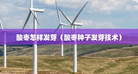 酸枣怎样发芽（酸枣种子发芽技术）