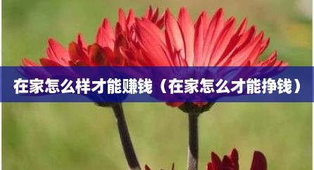 在家怎么样才能赚钱（在家怎么才能挣钱）