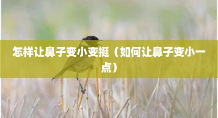 怎样让鼻子变小变挺（如何让鼻子变小一点）