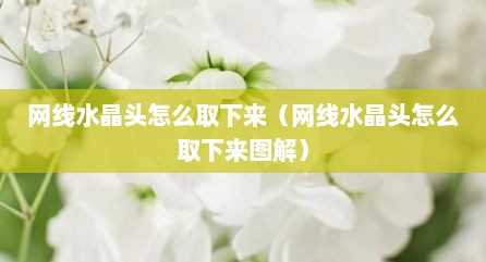 网线水晶头怎么取下来（网线水晶头怎么取下来图解）
