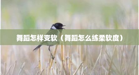 舞蹈怎样变软（舞蹈怎么练柔软度）