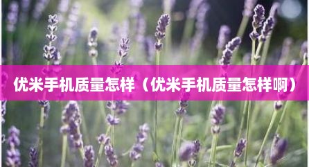 优米手机质量怎样（优米手机质量怎样啊）
