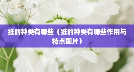 纸的种类有哪些（纸的种类有哪些作用与特点图片）