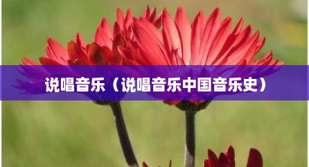 说唱音乐（说唱音乐中国音乐史）