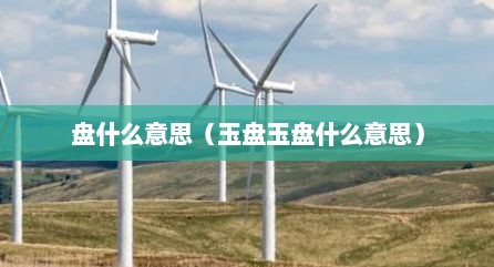 盘什么意思（玉盘玉盘什么意思）