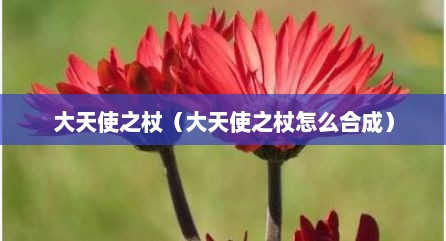 大天使之杖（大天使之杖怎么合成）