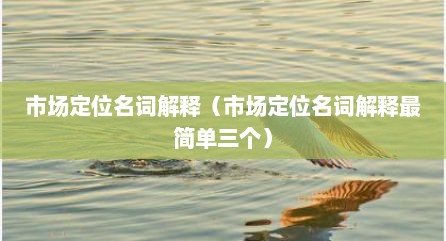 市场定位名词解释（市场定位名词解释最简单三个）