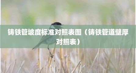 铸铁管坡度标准对照表图（铸铁管道壁厚对照表）