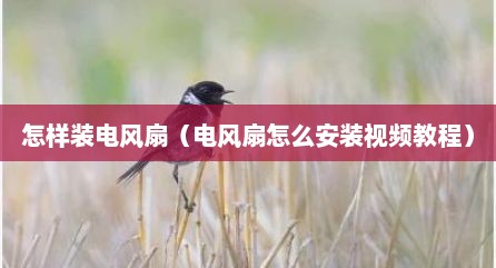 怎样装电风扇（电风扇怎么安装视频教程）