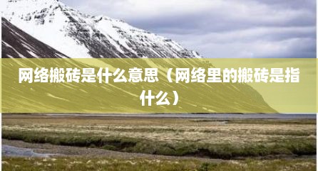 网络搬砖是什么意思（网络里的搬砖是指什么）