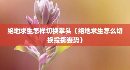 绝地求生怎样切换拳头（绝地求生怎么切换投掷姿势）
