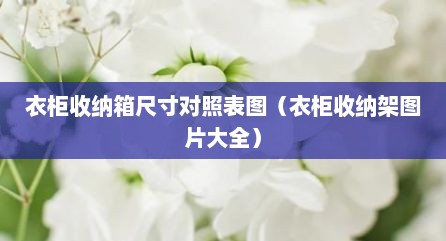 衣柜收纳箱尺寸对照表图（衣柜收纳架图片大全）
