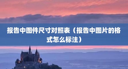 报告中图件尺寸对照表（报告中图片的格式怎么标注）