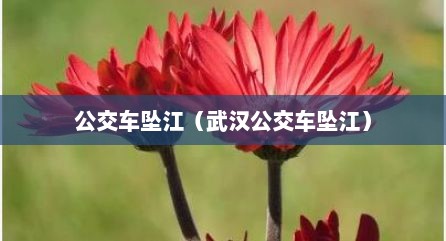 公交车坠江（武汉公交车坠江）