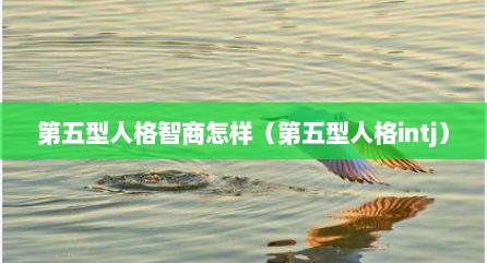 第五型人格智商怎样（第五型人格intj）