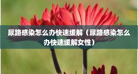 尿路感染怎么办快速缓解（尿路感染怎么办快速缓解女性）