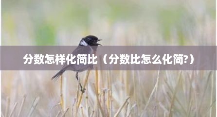 分数怎样化简比（分数比怎么化简?）