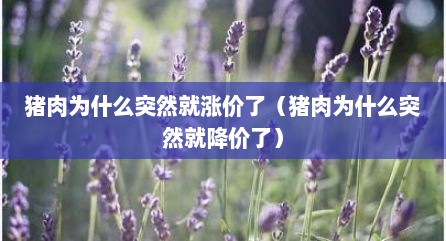 猪肉为什么突然就涨价了（猪肉为什么突然就降价了）